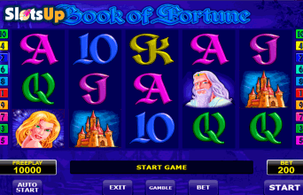 Book of Fortune Book of Fortune